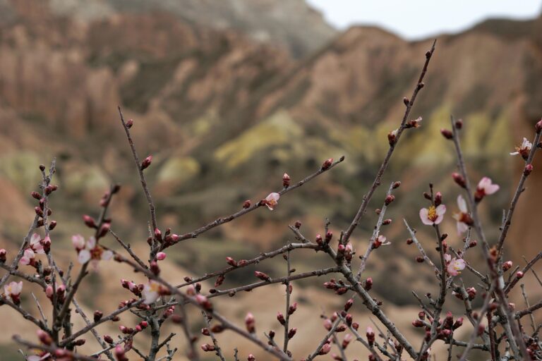 cappadocia rose valley hiking private tour private guide